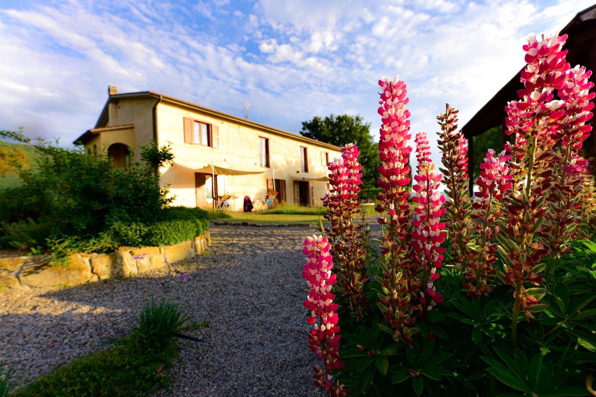 Agriturismo Le Casaline Seggiano Exterior foto