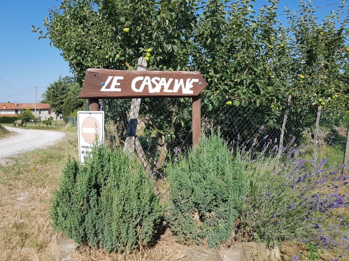 Agriturismo Le Casaline Seggiano Exterior foto